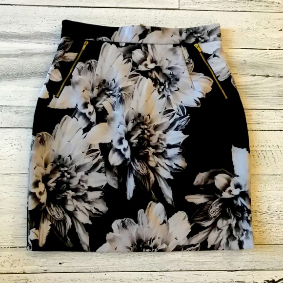 Beautiful Skirt - Picture 1 of 2